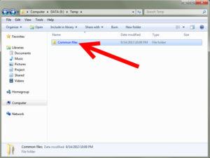 Windows Common Files Folder Properties
