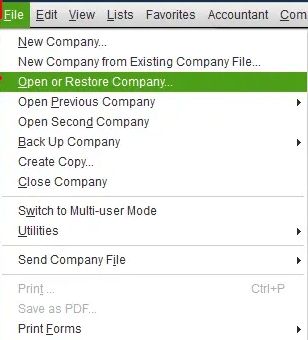 Open a company file